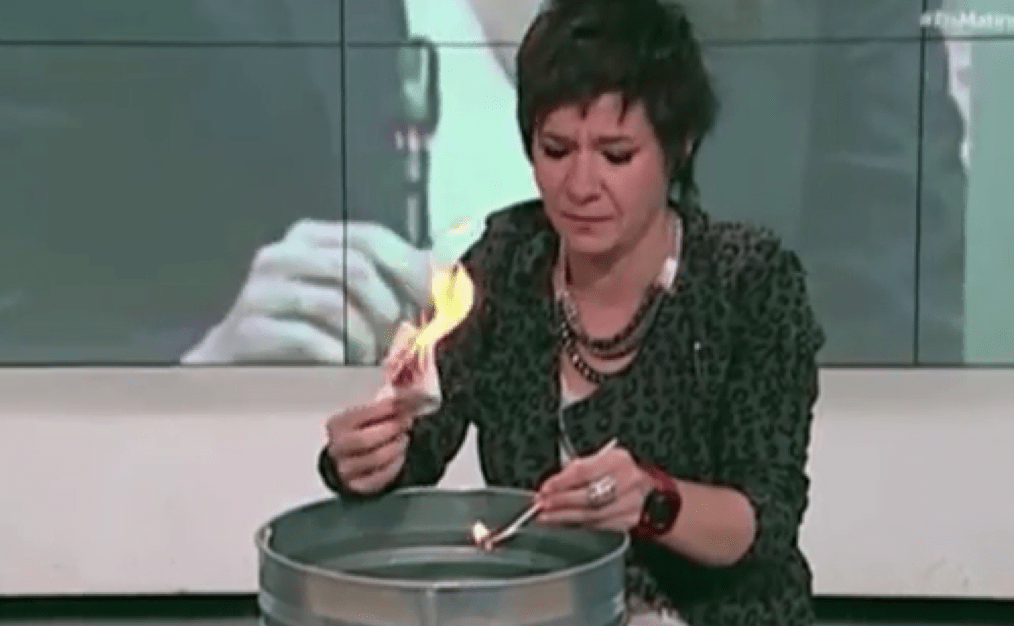 empar moliner constitucion
