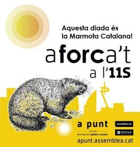 ANC marmota