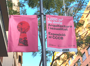 Arquitectura sexualidad