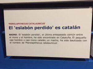 eslabón perdido Coruña