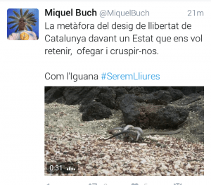 Miquel Buch