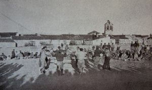 sardana