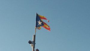 cubana
